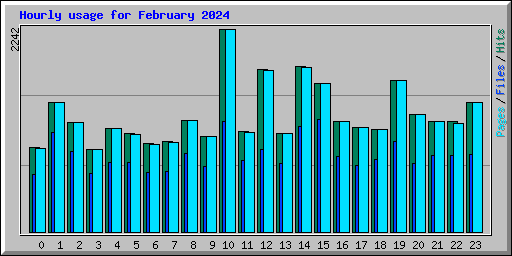 Hourly usage for February 2024