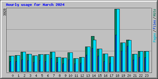 Hourly usage for March 2024