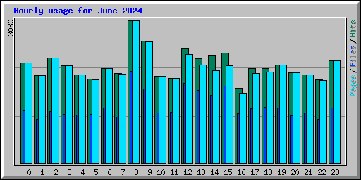 Hourly usage for June 2024