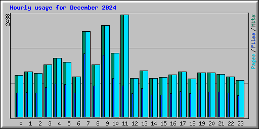 Hourly usage for December 2024