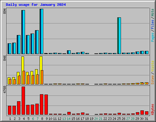 Daily usage for January 2024