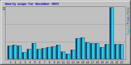 Hourly usage for December 2023