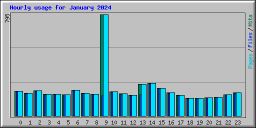 Hourly usage for January 2024