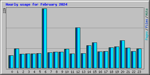 Hourly usage for February 2024