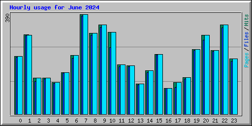 Hourly usage for June 2024