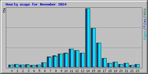 Hourly usage for November 2024