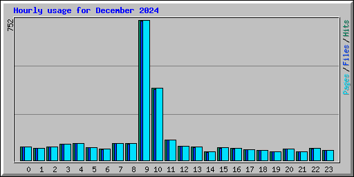 Hourly usage for December 2024