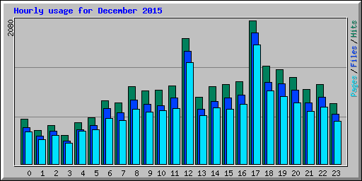 Hourly usage for December 2015