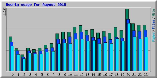 Hourly usage for August 2016