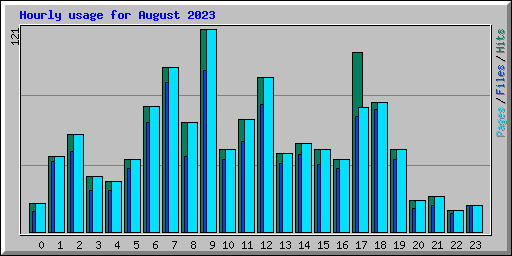 Hourly usage for August 2023