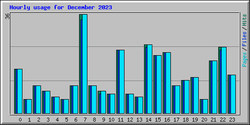 Hourly usage for December 2023