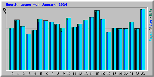 Hourly usage for January 2024