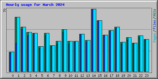 Hourly usage for March 2024