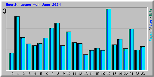 Hourly usage for June 2024