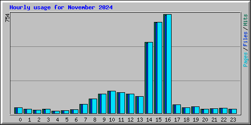 Hourly usage for November 2024