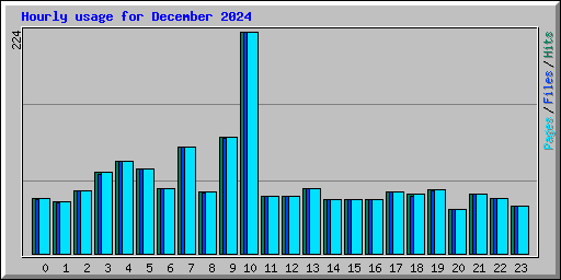 Hourly usage for December 2024