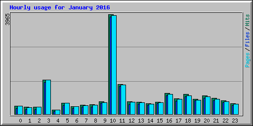 Hourly usage for January 2016