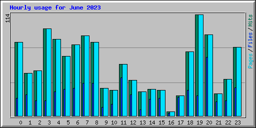 Hourly usage for June 2023