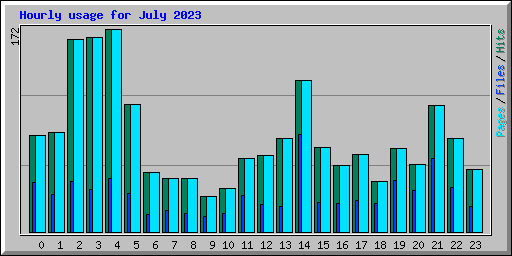 Hourly usage for July 2023