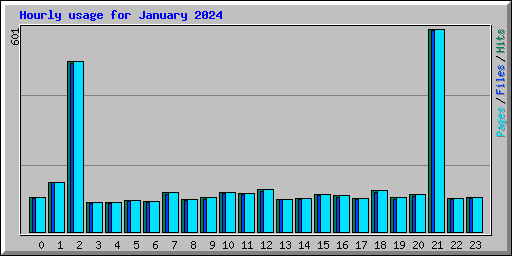 Hourly usage for January 2024