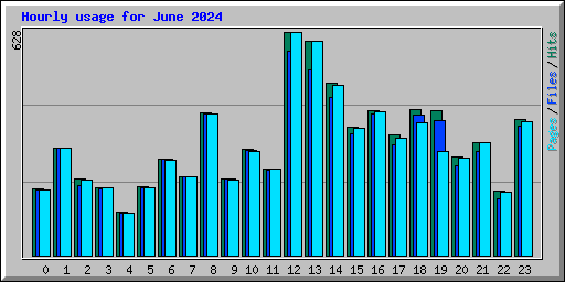 Hourly usage for June 2024