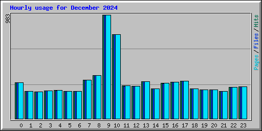 Hourly usage for December 2024