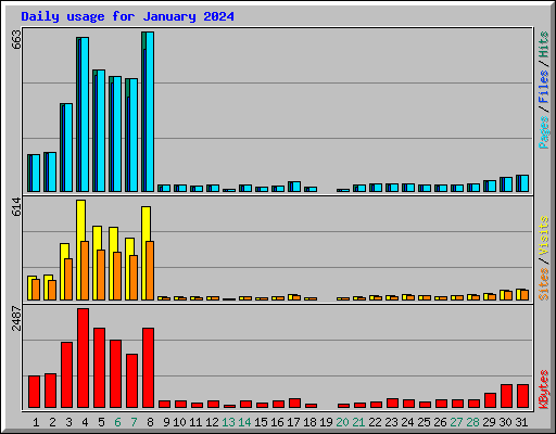 Daily usage for January 2024