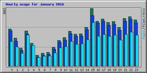 Hourly usage for January 2016