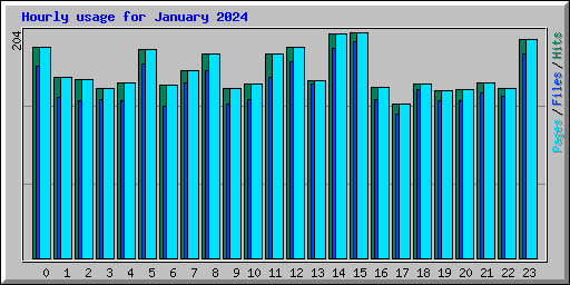 Hourly usage for January 2024