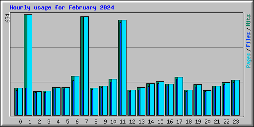 Hourly usage for February 2024