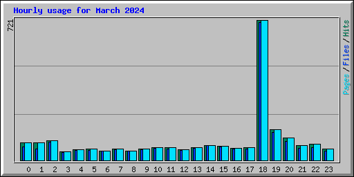 Hourly usage for March 2024