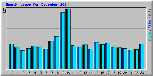 Hourly usage for December 2024