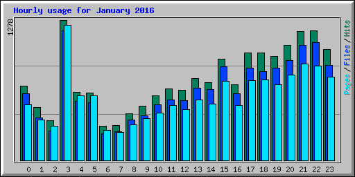 Hourly usage for January 2016