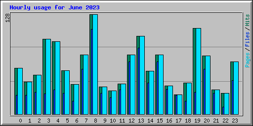 Hourly usage for June 2023