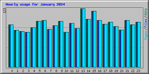 Hourly usage for January 2024