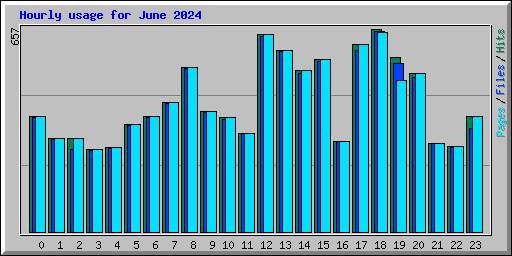 Hourly usage for June 2024