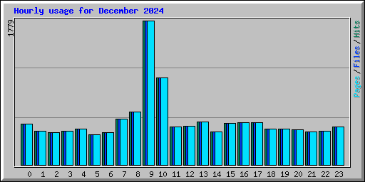 Hourly usage for December 2024