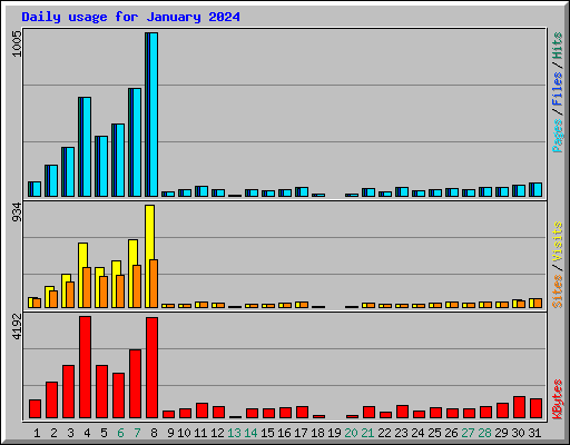 Daily usage for January 2024