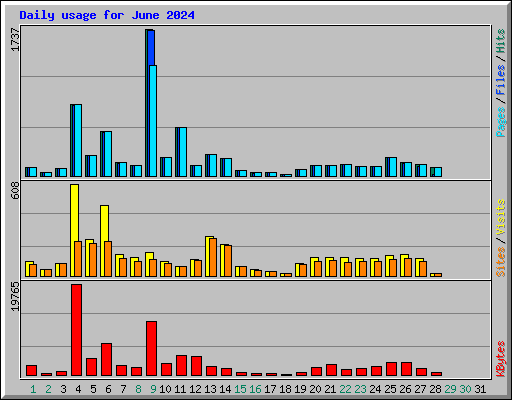 Daily usage for June 2024