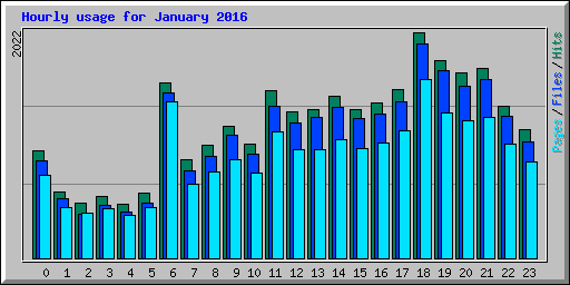 Hourly usage for January 2016