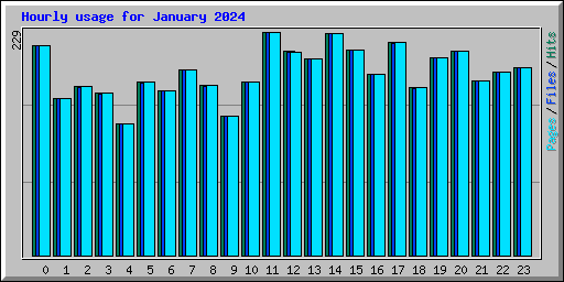 Hourly usage for January 2024