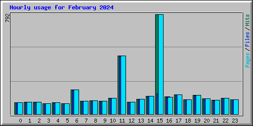 Hourly usage for February 2024