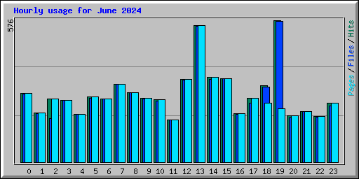 Hourly usage for June 2024