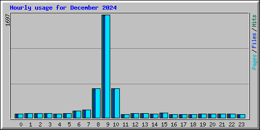 Hourly usage for December 2024