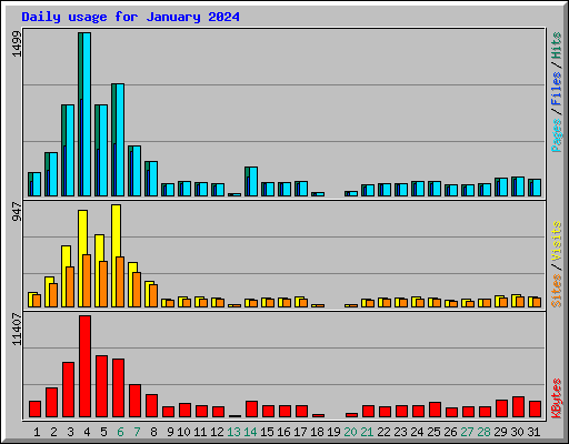 Daily usage for January 2024