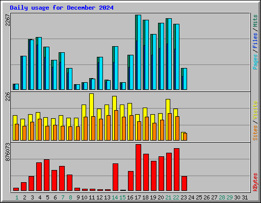 Daily usage for December 2024