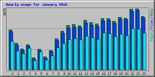 Hourly usage for January 2016