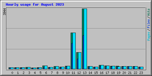 Hourly usage for August 2023