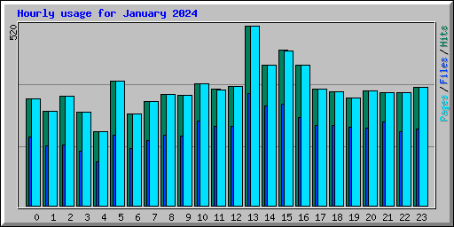 Hourly usage for January 2024