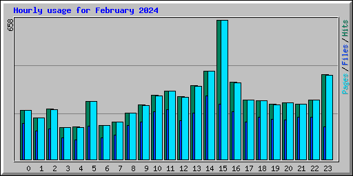 Hourly usage for February 2024